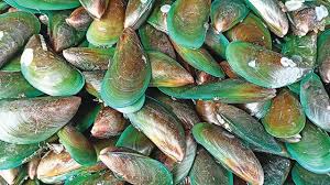kerang-ijo